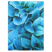 Hosta Plant Klembord (Achterkant)