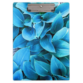 Hosta Plant Klembord