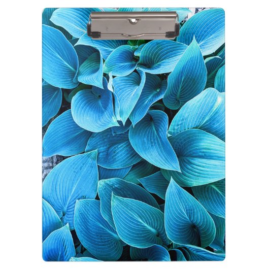 Hosta Plant Klembord (Voorkant)