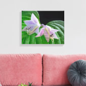 Hosta Plant Leaf en Flowers Canvas Afdruk (Insitu (Woonkamer))