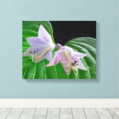 Hosta Plant Leaf en Flowers Canvas Afdruk (Insitu (Houten vloer))