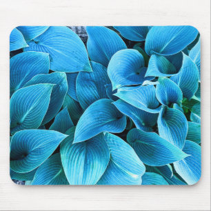 Hosta plant muismat