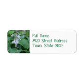 Hosta Plant retouradres verzendlabels Etiket (Voorkant)