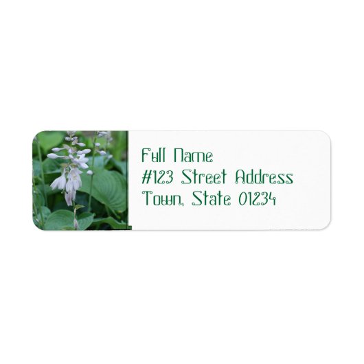 Hosta Plant retouradres verzendlabels Etiket (Voorkant)