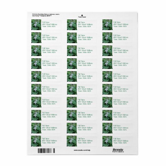Hosta Plant retouradres verzendlabels Etiket (Full Sheet)