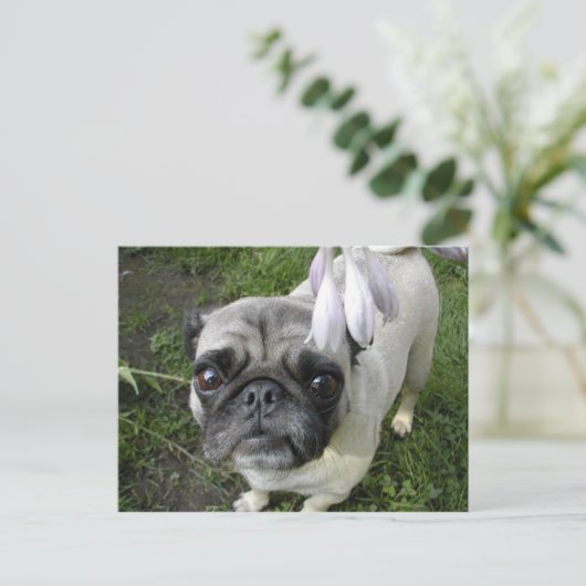 Hosta Pug Briefkaart (Staand voorkant)