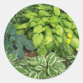 Hosta Ronde Sticker (Voorkant)