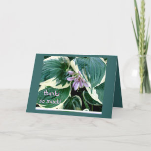 Hosta Thank you card Bedankkaart