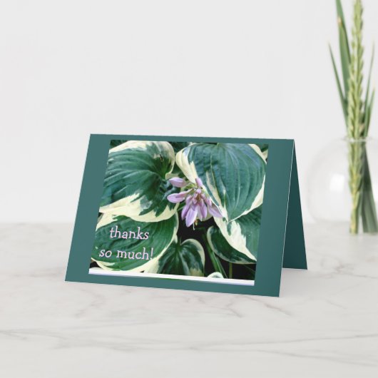Hosta Thank you card Bedankkaart (Voorkant)