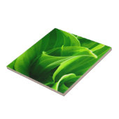 Hosta Tile Tegeltje (Zijkant)