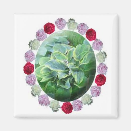 Hosta w/ Rood Wit Roze Pioenen Tuinieren Magnet (Voorkant)