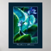 Hostas in Bloom Poster (Voorkant)