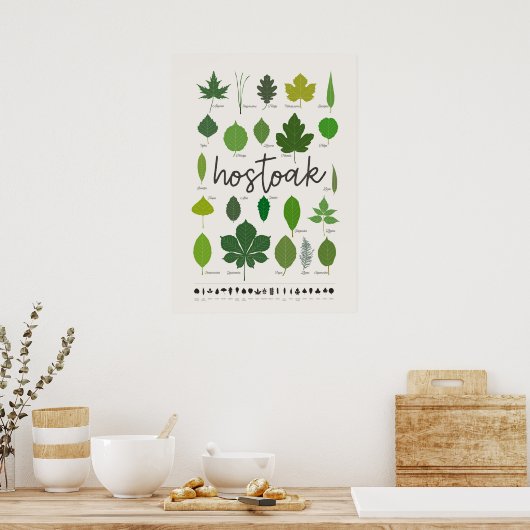 Hostoak Hojas Poster (Keuken)