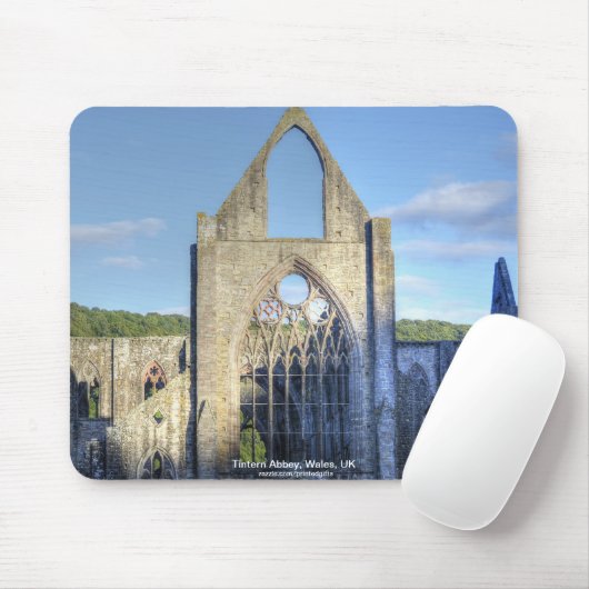 Hostoric Abbey Cistercian Monastery Wales Muismat (Met muis)