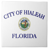Hoststad Hialeah Tegeltje (Voorkant)