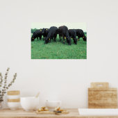 Hosvee Poster (Keuken)