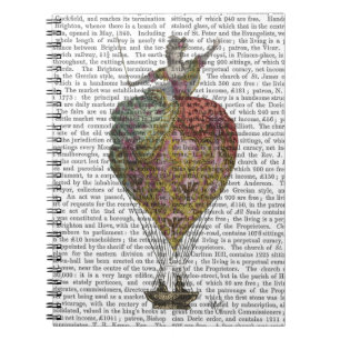 Hot Air Ballon Woman 3 Notitieboek