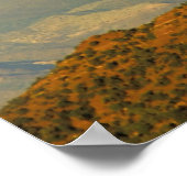 Hot Air-ballonnen in Sedona, Arizona, Verenigde St Poster (Hoek)