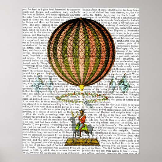 Hot Air ballonzephire Poster (Voorkant)