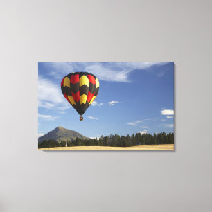 Hot Air Balloon bij Wanaka, Zuid-eiland, New Canvas Afdruk