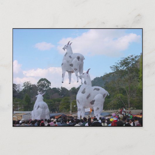 Hot-ballonfestival 1 briefkaart (Voorkant)