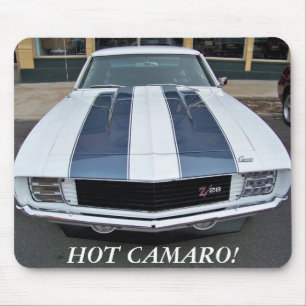 HOT CAMARO-Muismat Muismat