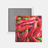 Hot Chili Peppers Magneet (Voorkant / Achterkant)