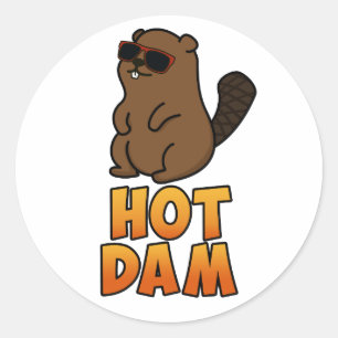 Hot Dam Funny Cool Beaver Pun Ronde Sticker