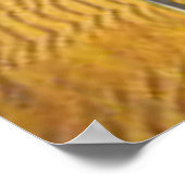 Hot Dog Beach Poster (Hoek)