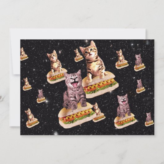 Hot Dog Cat Party Uitnodiging (Achterkant)