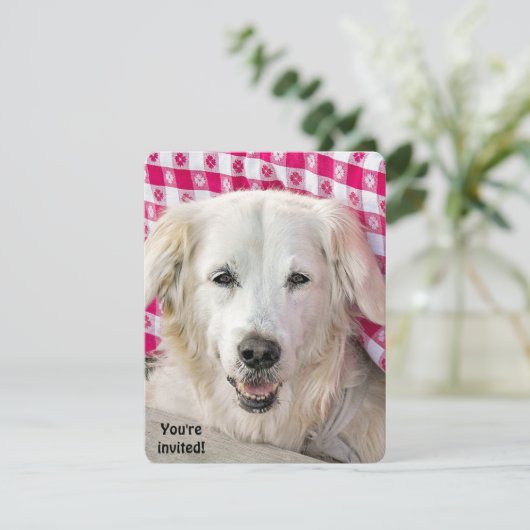 Hot Dog Fry uitnodiging (Staand voorkant)