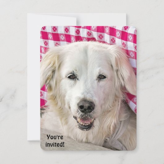 Hot Dog Fry uitnodiging (Voorkant)