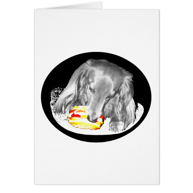 Hot Dog is een aanval op Cheeseburger, nieuws bij  (Voorkant)