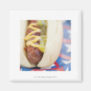 Hot Dog op rood, wit en blauw Bord Magneet
