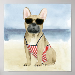 Hot Dog   Puppy in zonnebril bij het strand Poster