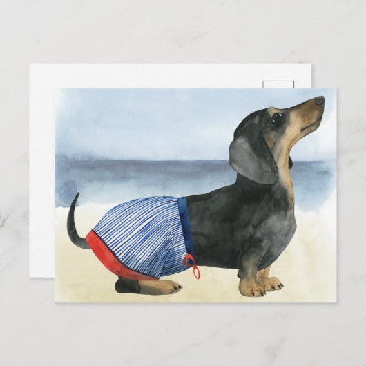 Hot Dog | Puppy in zwembad Briefkaart (Voorkant / Achterkant)