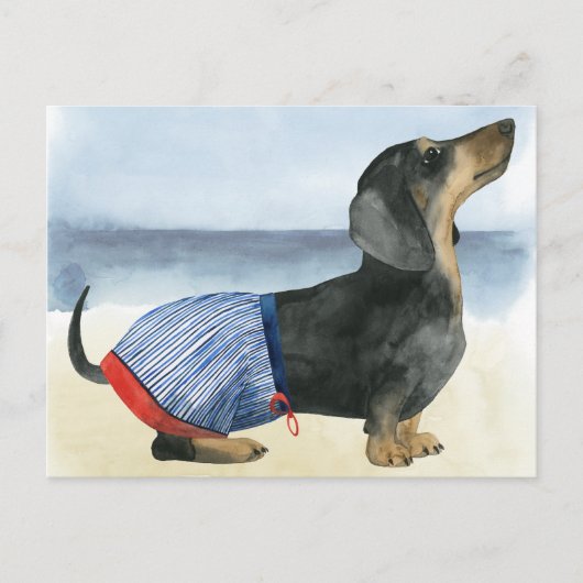 Hot Dog | Puppy in zwembad Briefkaart (Voorkant)