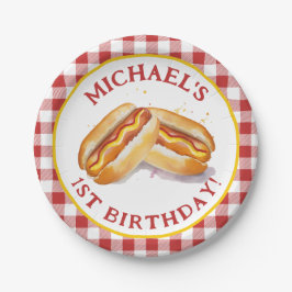 Hot Dog Verjaardagsfeestje Red Gingham Papieren Bordje