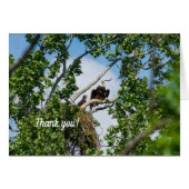 Hot Eagles Hartelijk dank (Voorkant Horizontaal)