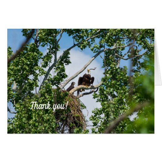 Hot Eagles Hartelijk dank (Voorkant Horizontaal)