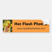 Hot Flash-foto's Bumpersticker (Voorkant)