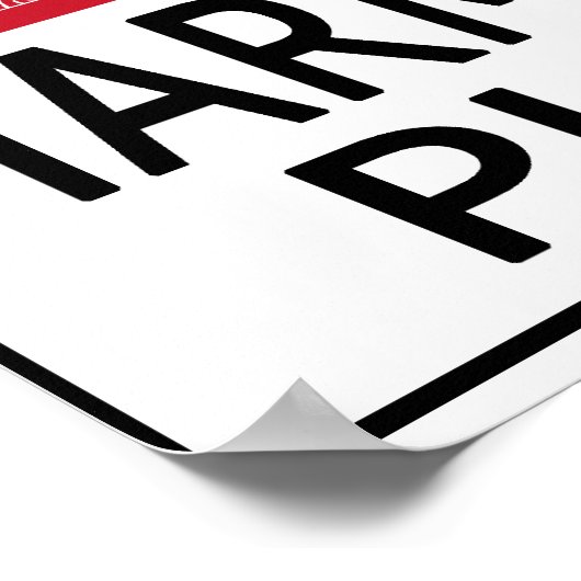 Hot Harmonica Player Poster (Hoek)