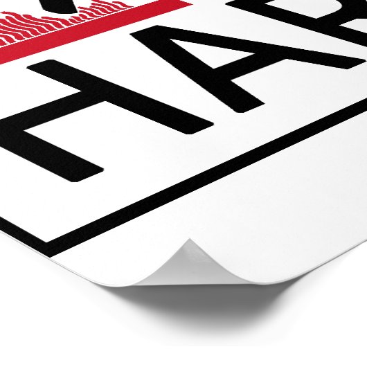 Hot Harpist Poster (Hoek)