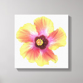 Hot Hibiscus Canvas Afdruk