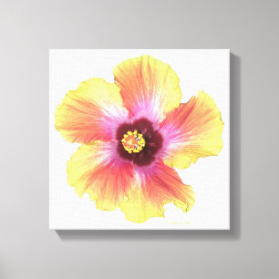 Hot Hibiscus Canvas Afdruk