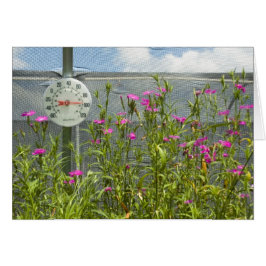 Hot House Neursery Card