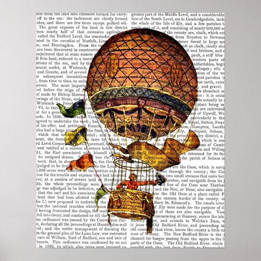 Hot-luchtballon met vlaggen poster (Voorkant)