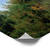 Hot-luchtballon Poster (Hoek)