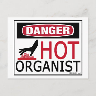 Hot Organist Briefkaart