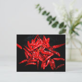 Hot Pepper - stilstaand leven Briefkaart (Staand voorkant)